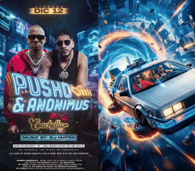 Plan Premium - Flyers and Motion - 15h Delivery